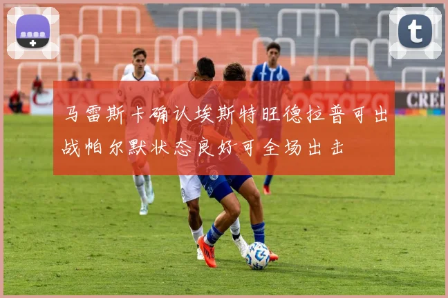 马雷斯卡确认埃斯特旺德拉普可出战帕尔默状态良好可全场出击