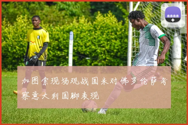 加图索现场观战国米对佛罗伦萨考察意大利国脚表现