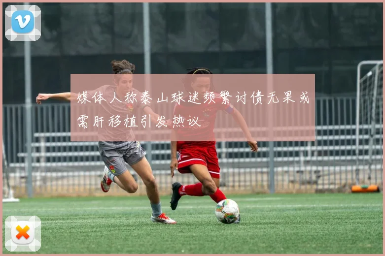 媒体人称泰山球迷频繁讨债无果或需肝移植引发热议