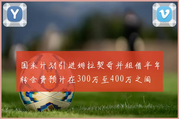 国米计划引进姆拉契奇并租借半年转会费预计在300万至400万之间