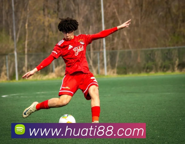 华体会体育平台生态图