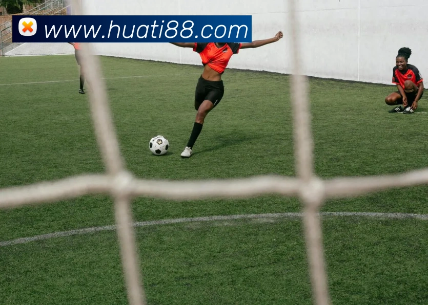 华体会体育APP 封面图